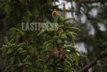 EA340614, Eastpress, Porvoo, Finland